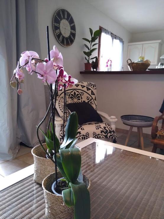 Gite Avec Vue Imprenable Sur La Cite Villa Carcassonne Exteriör bild