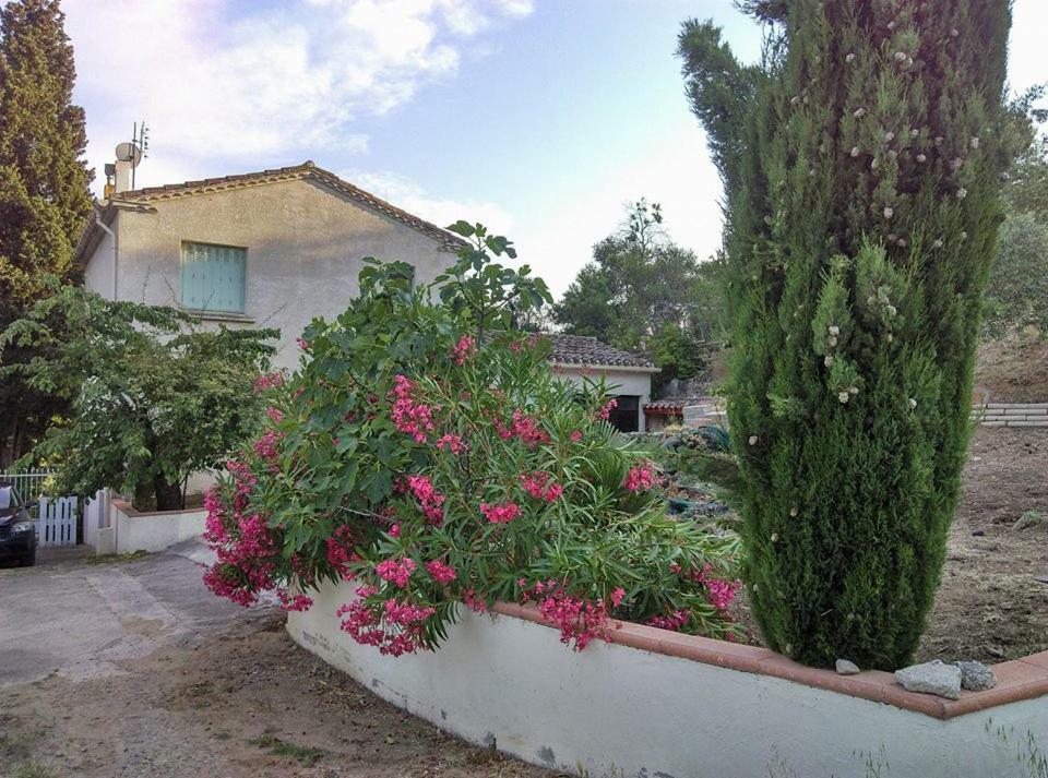 Gite Avec Vue Imprenable Sur La Cite Villa Carcassonne Exteriör bild